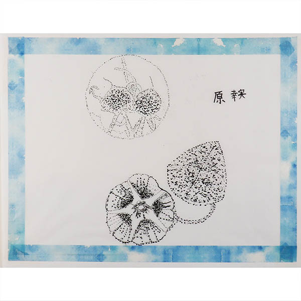クリックすると大きい画像が見れます